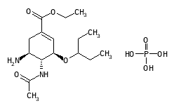 オセルタミビルリン酸塩